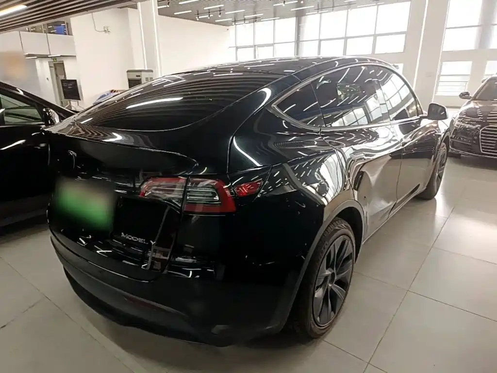 Tesla Model Y — миниатюра 7