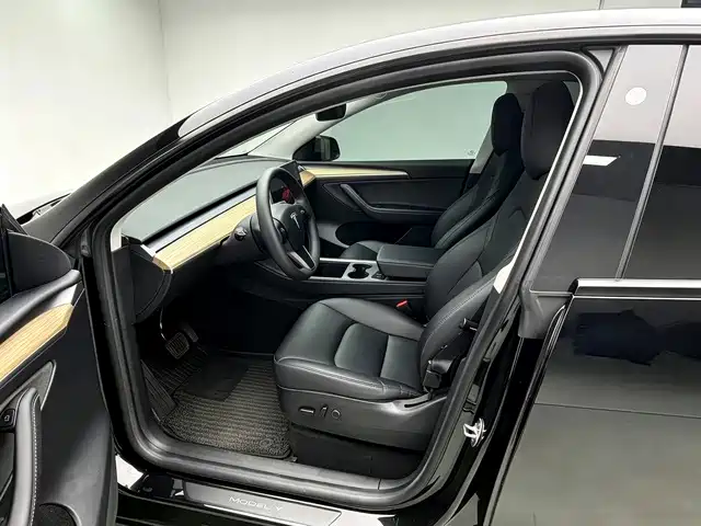 Tesla Model Y — миниатюра 11