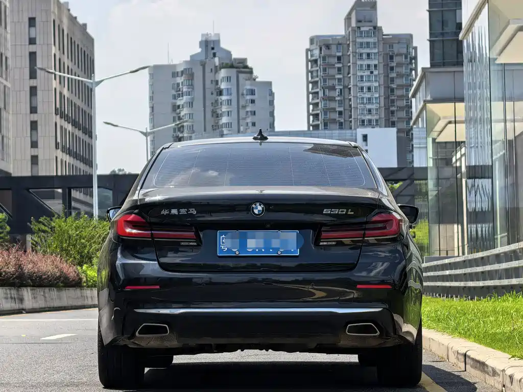 BMW 5 Series — миниатюра 5