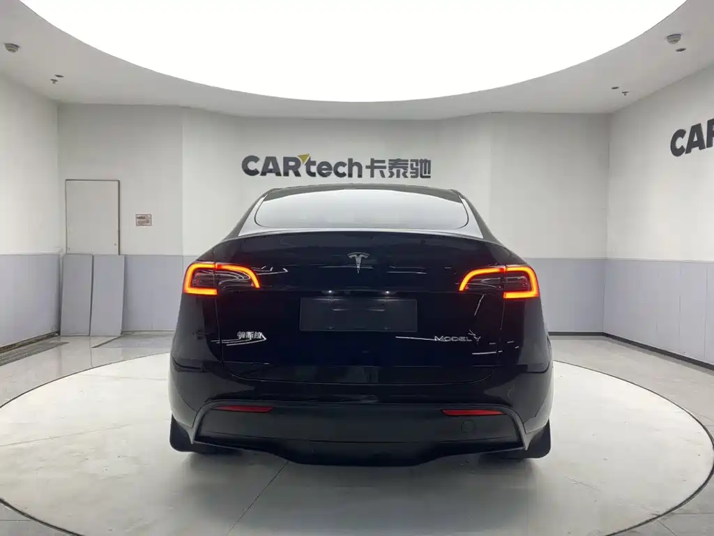 Tesla Model Y — миниатюра 6