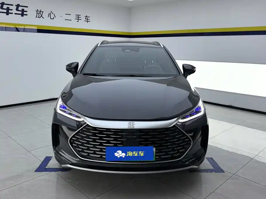 BYD Tang New Energy — миниатюра 2