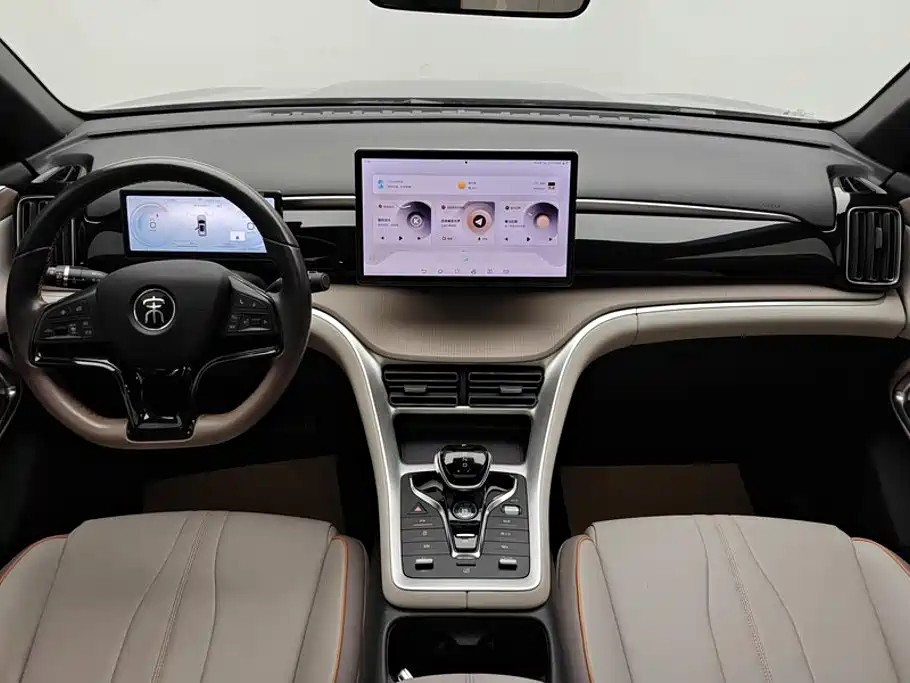 BYD Pro New Energy — миниатюра 12