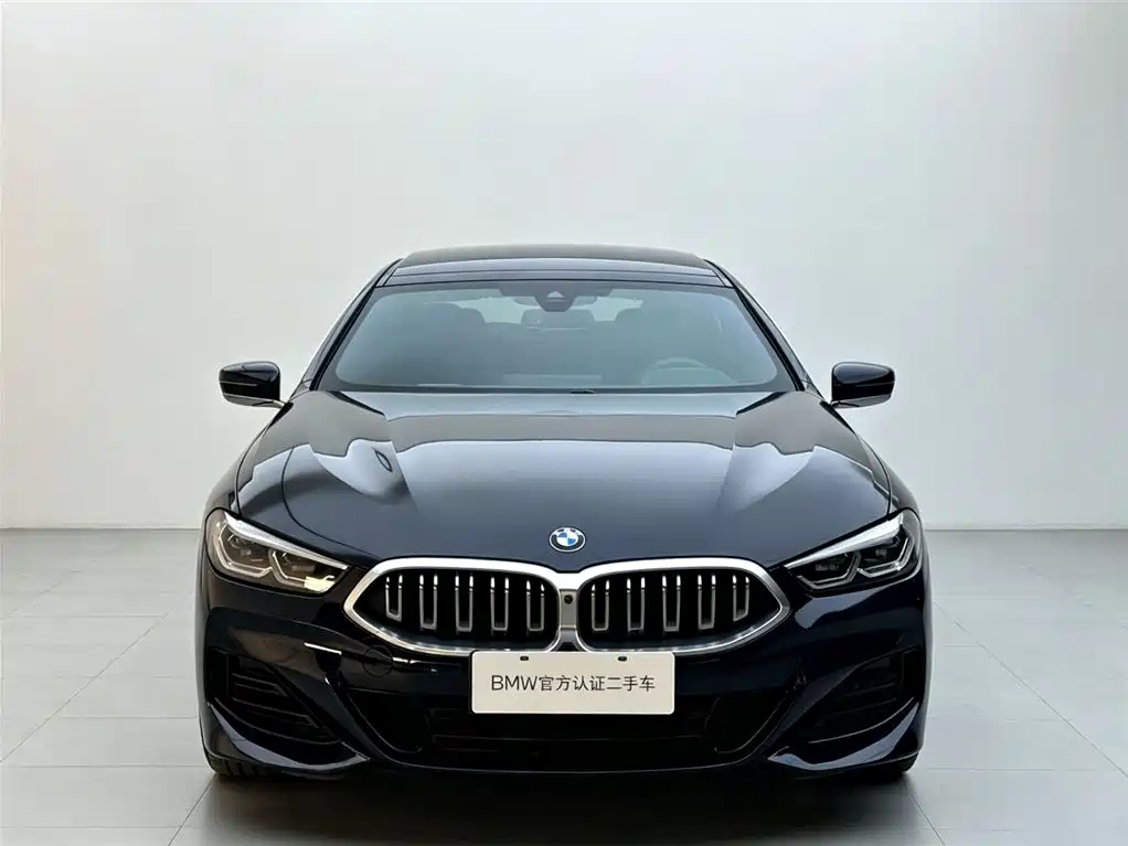 BMW 8 Series — миниатюра 2