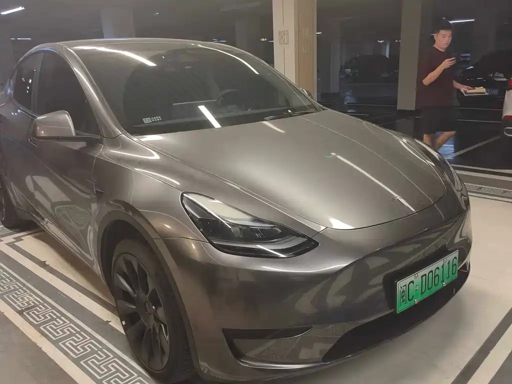 Tesla Model Y — миниатюра 3