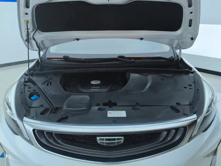 Geely Emgrand GS — миниатюра 10