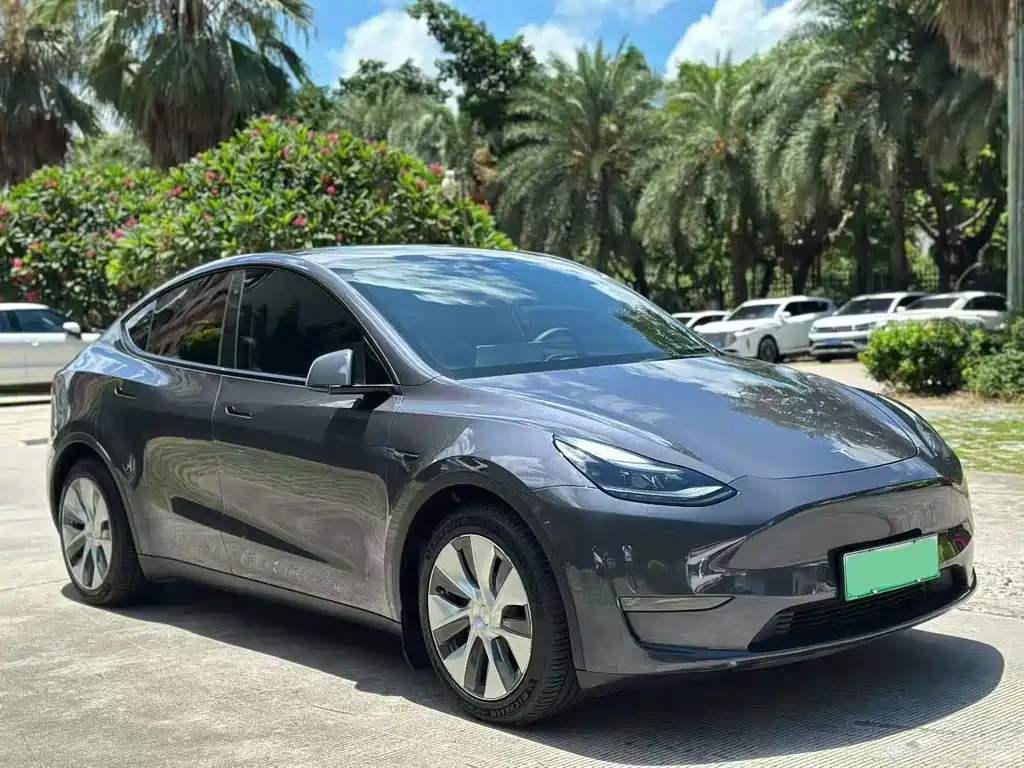 Tesla Model Y — миниатюра 3