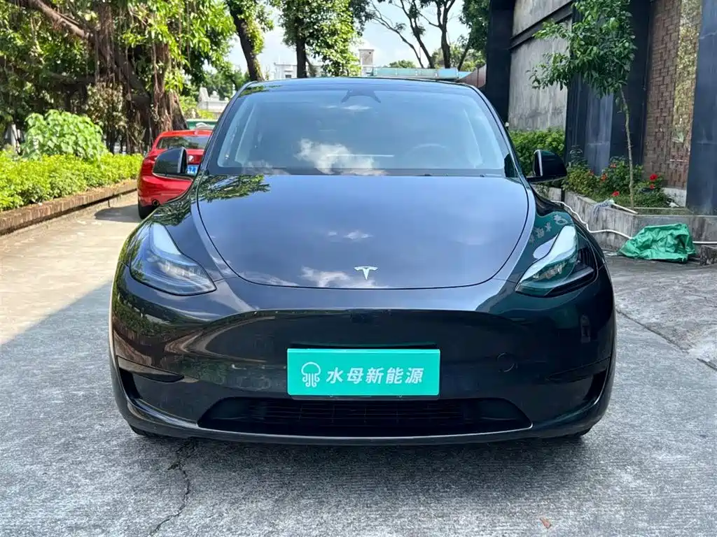 Tesla Model Y — миниатюра 2