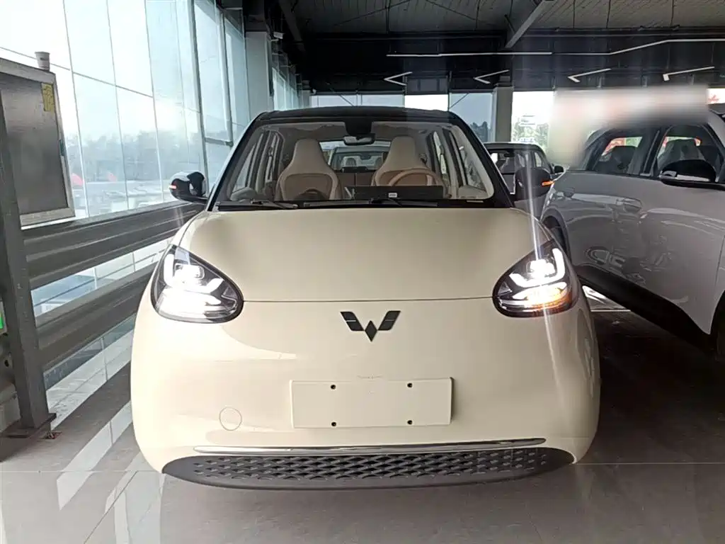 Wuling Binguo 2025 333km