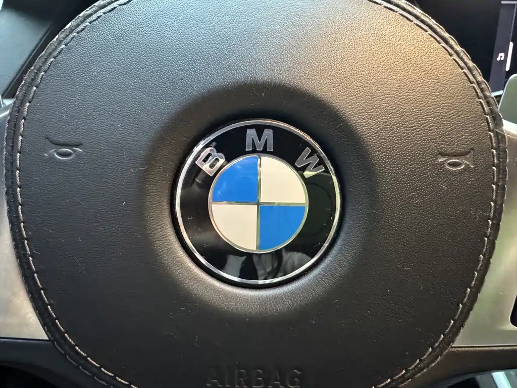 BMW X7 — миниатюра 24