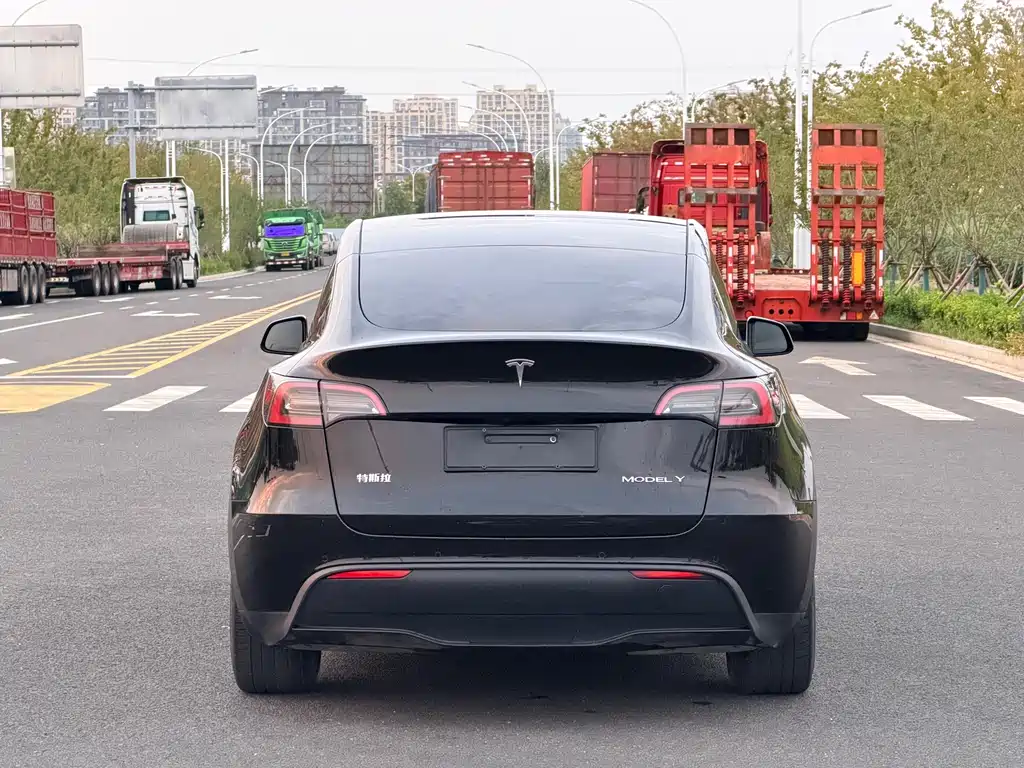 Tesla Model Y — миниатюра 8