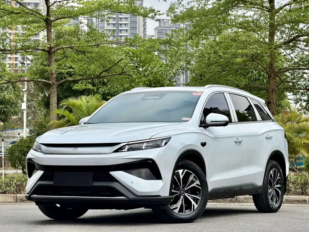 Byd Pro New Energy 2025