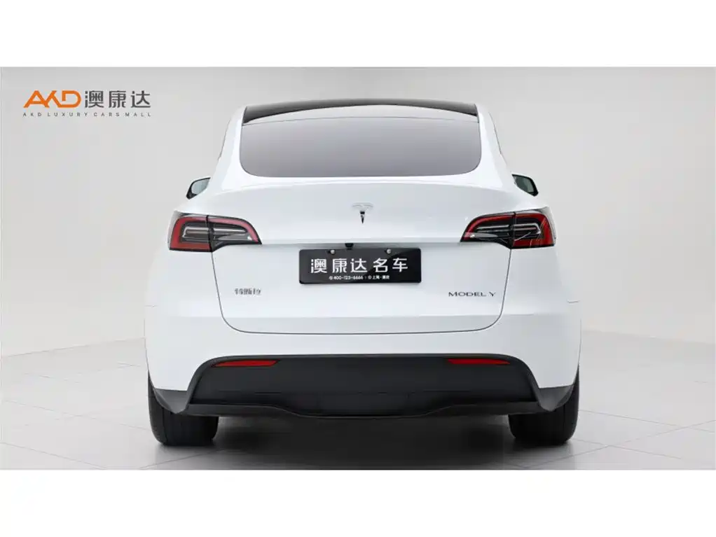 Tesla Model Y — миниатюра 4