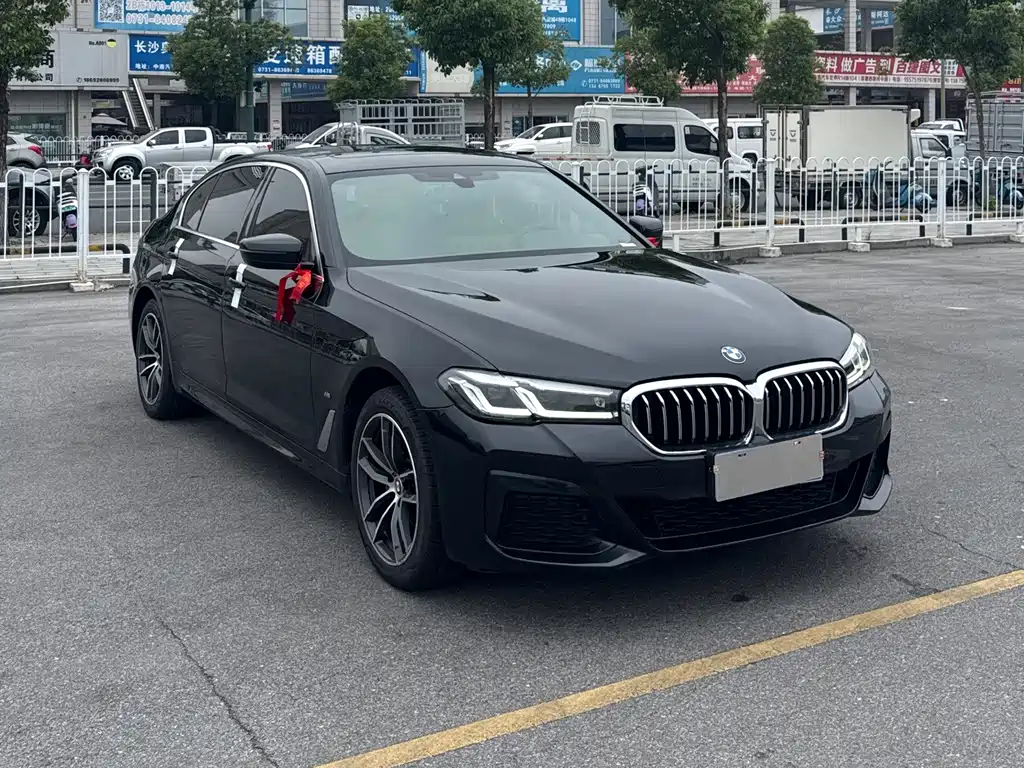 BMW 5 Series — миниатюра 3