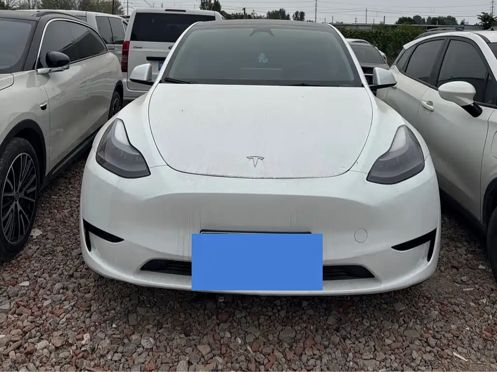 Tesla Model Y — миниатюра 2