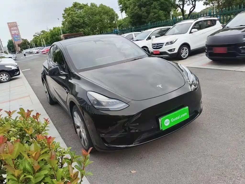 Tesla Model Y — миниатюра 4