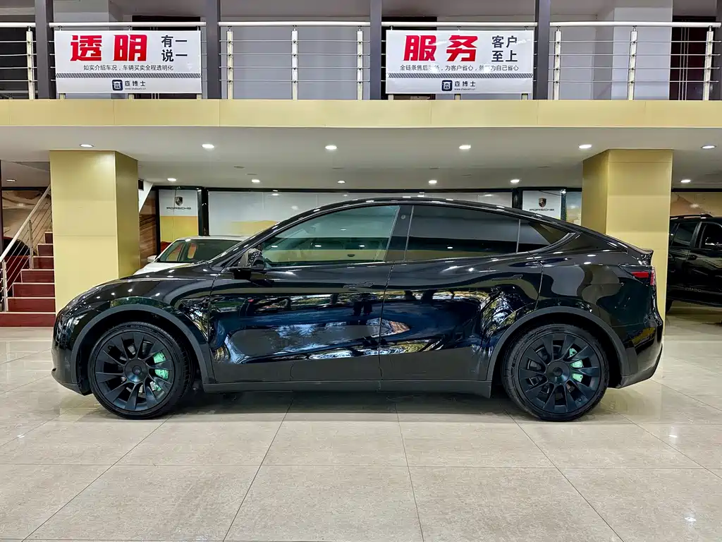 Tesla Model Y — миниатюра 2