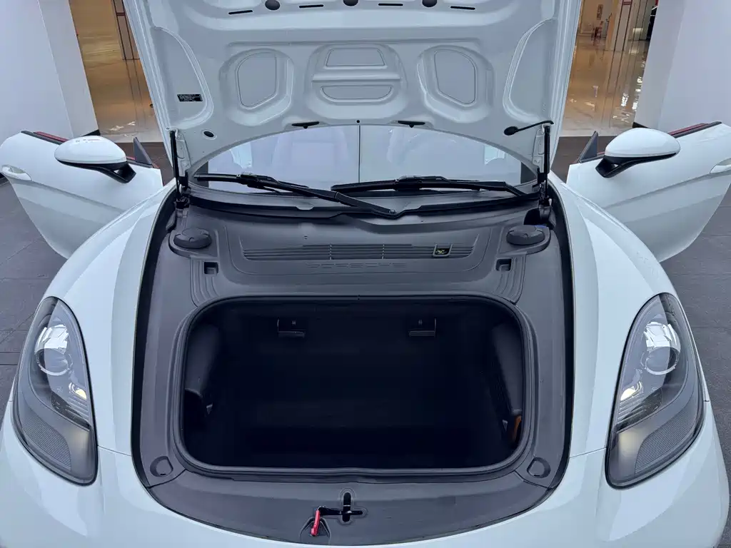 Porsche 718 — миниатюра 11