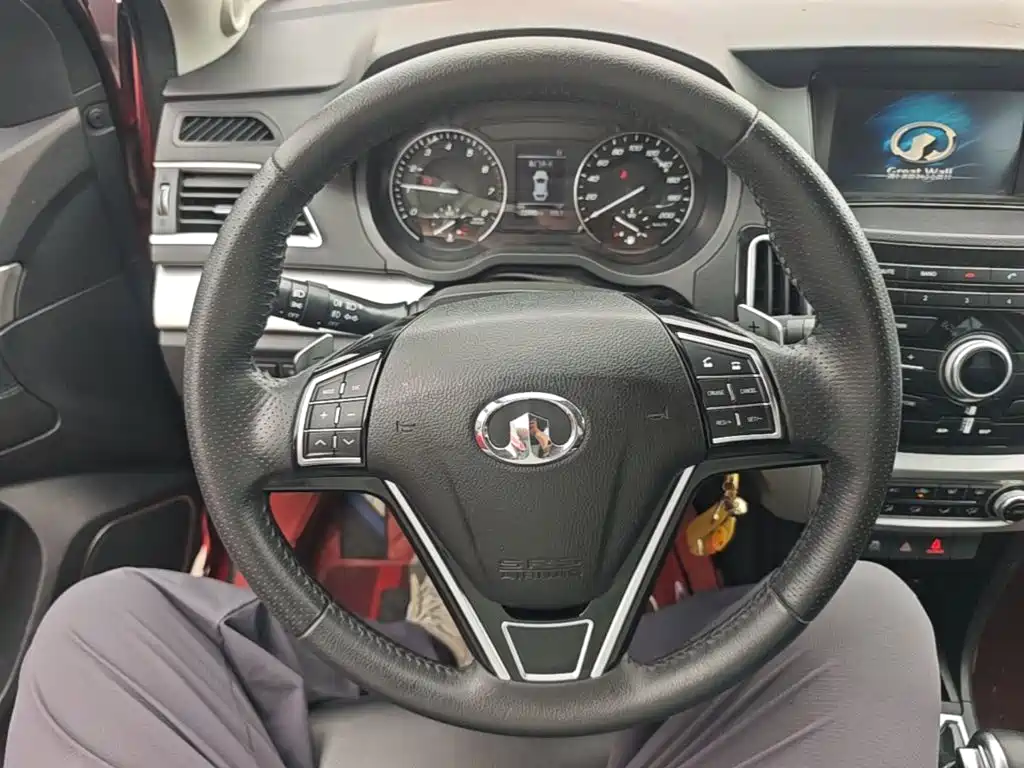 Great Wall Great Wall C30 — миниатюра 11