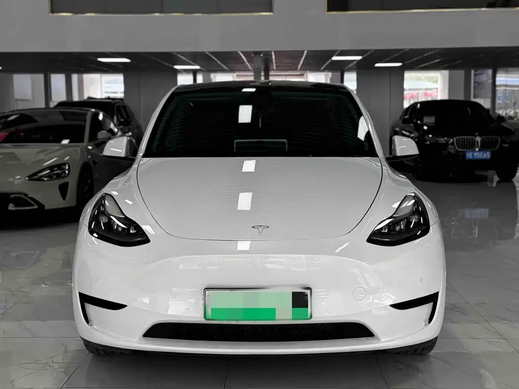 Tesla Model Y — миниатюра 2