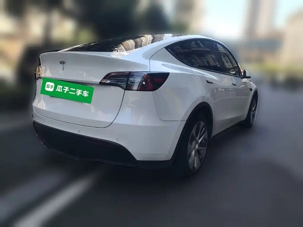 Tesla Model Y — миниатюра 4