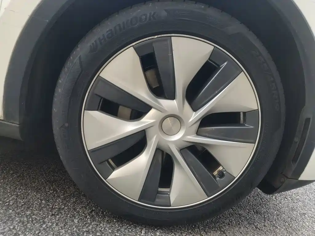 Tesla Model Y — миниатюра 25