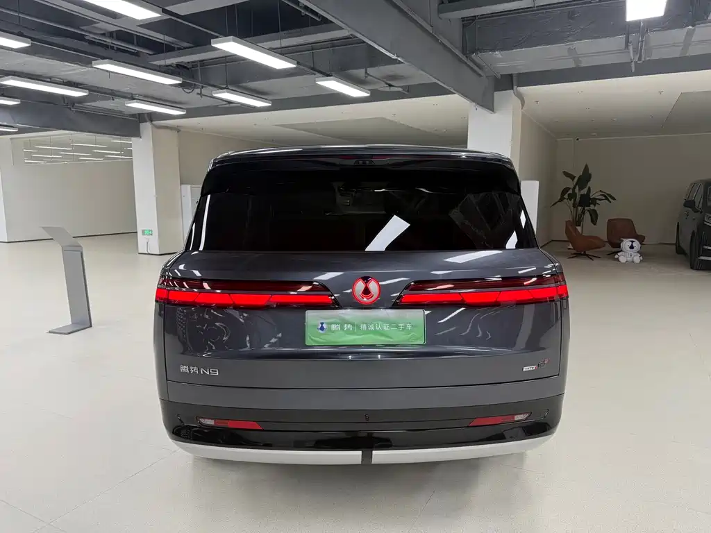 Denza Denza N9 — миниатюра 5