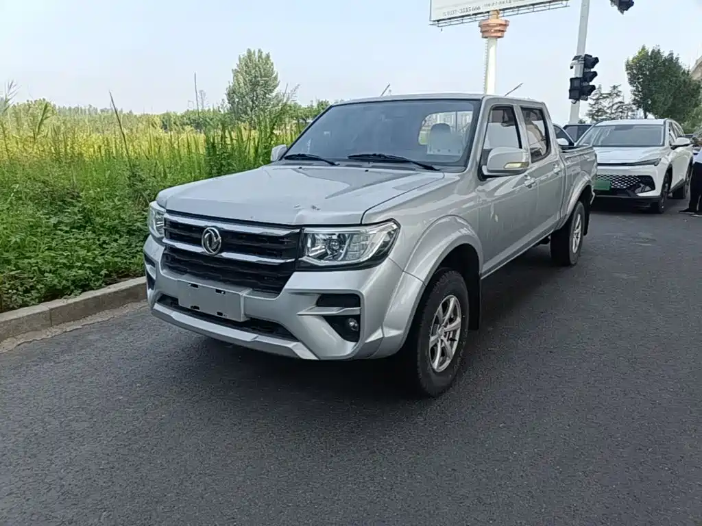 Dongfeng Rich