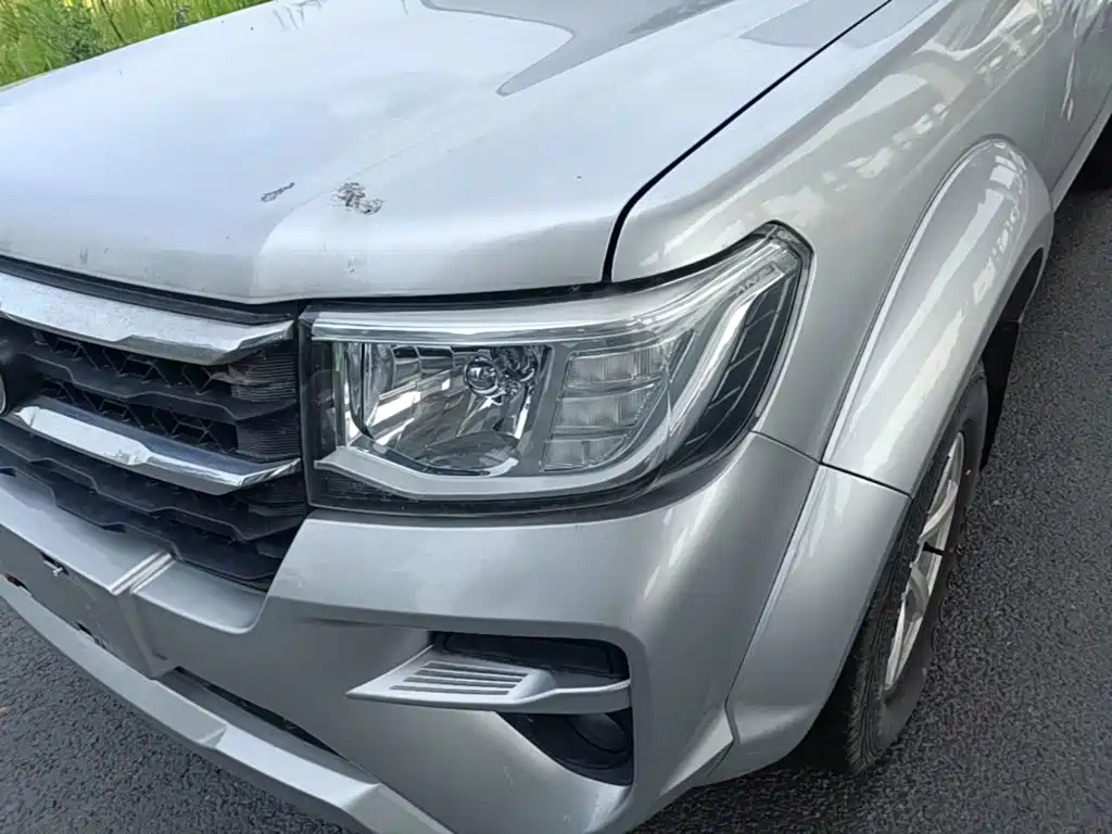 Dongfeng Rich — миниатюра 24