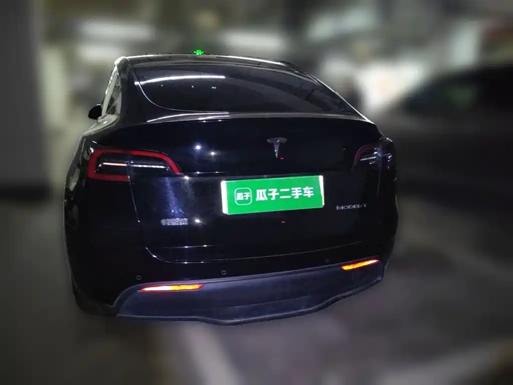 Tesla Model Y — миниатюра 3