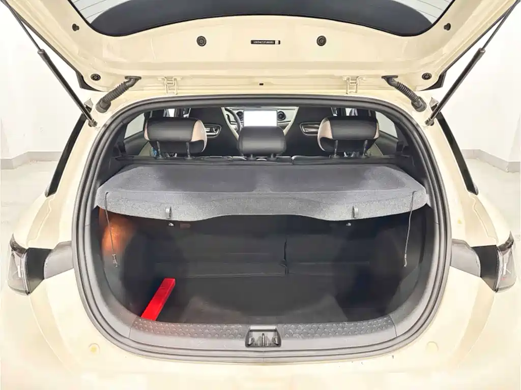 BYD Dolphin — миниатюра 13