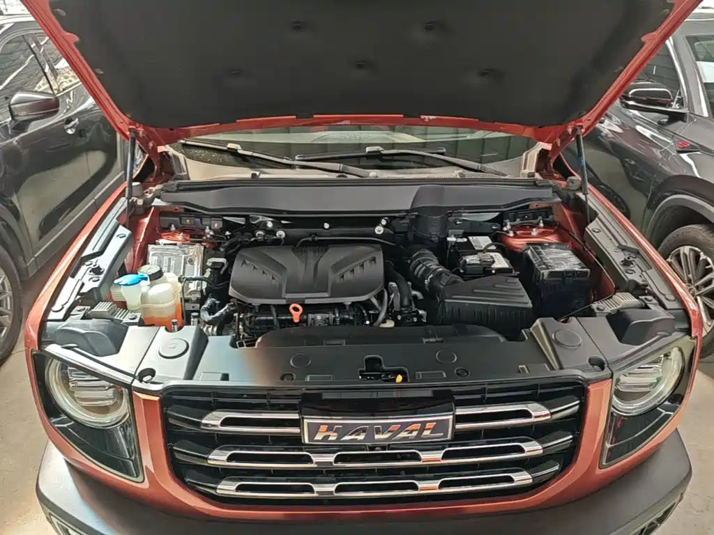 Haval Big Dog — миниатюра 20
