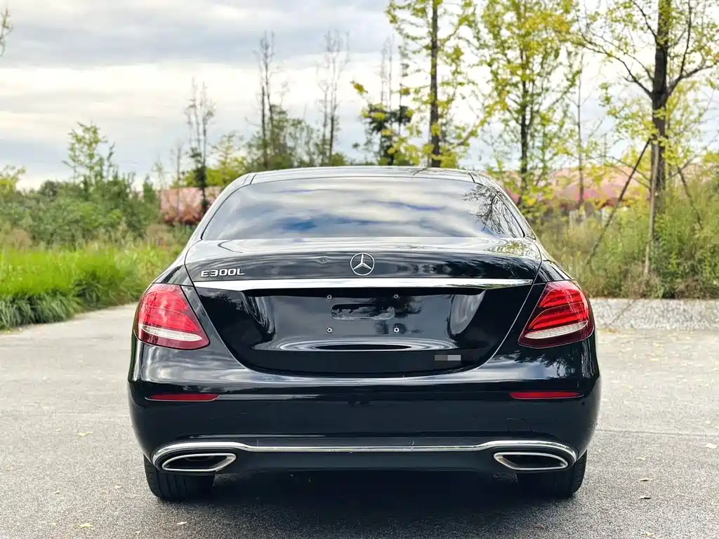 Mercedes-Benz E-Class E 2018 E 300 L Luxury