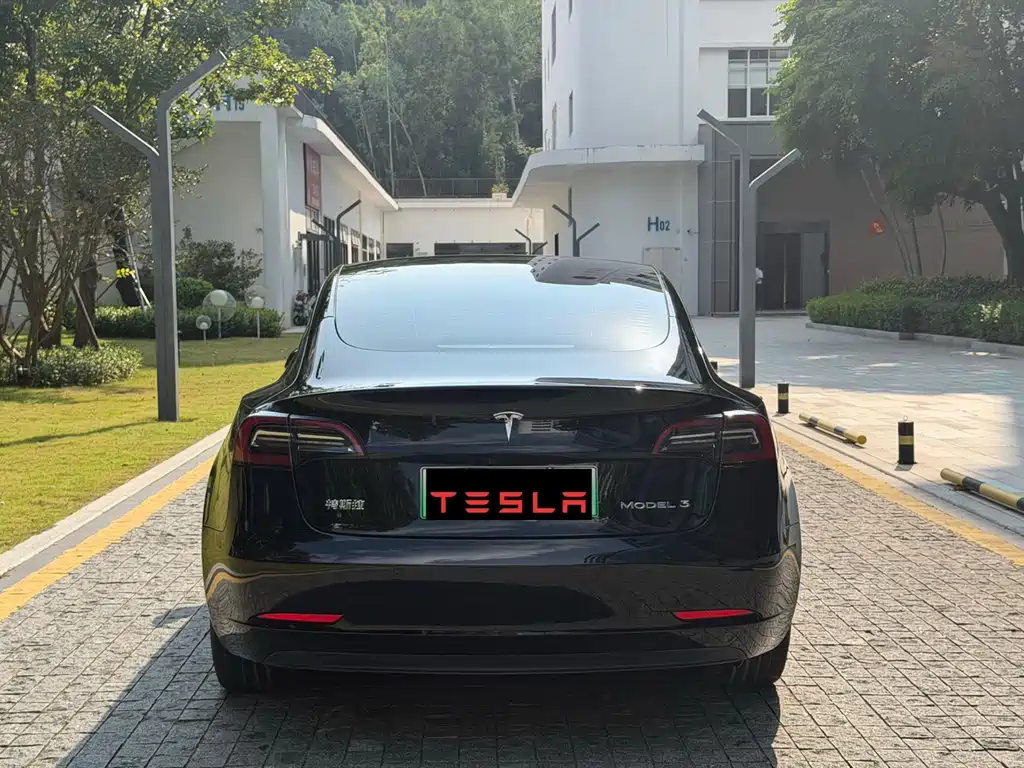 Tesla Model 3 — миниатюра 8