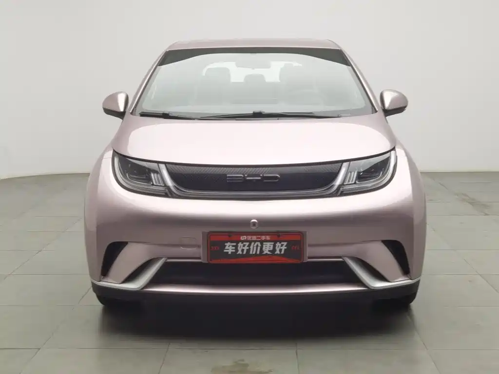 BYD Dolphin — миниатюра 3
