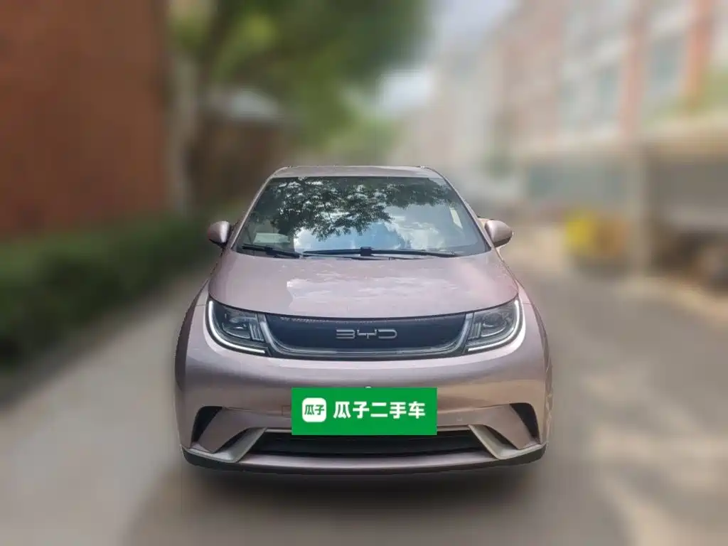 BYD Dolphin — миниатюра 3