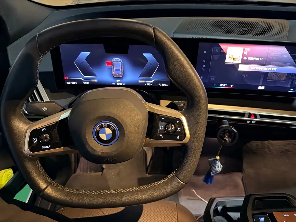 BMW iX — миниатюра 8