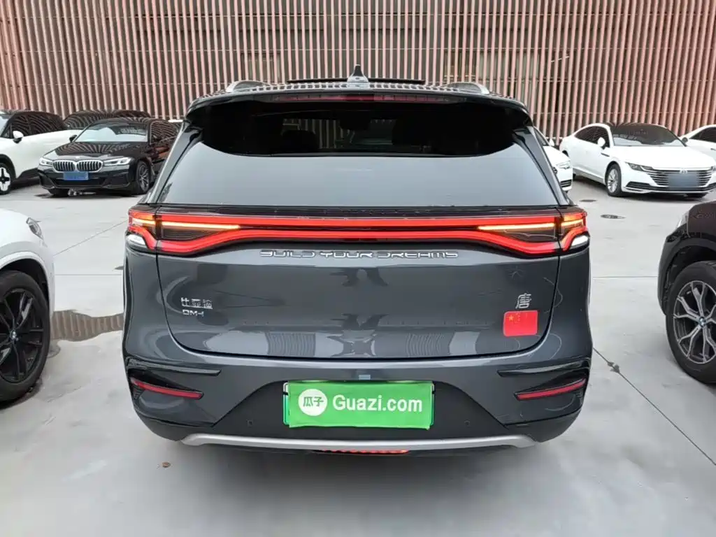 BYD Tang New Energy — миниатюра 6