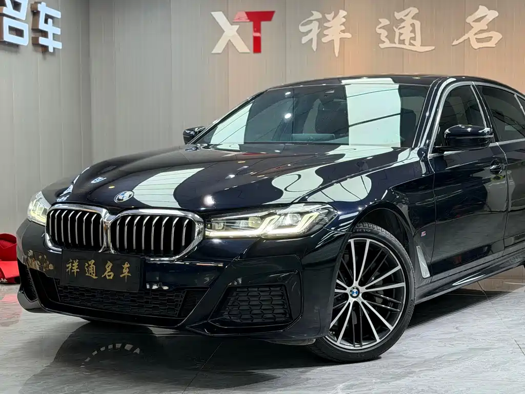 BMW 5 Series — миниатюра 10