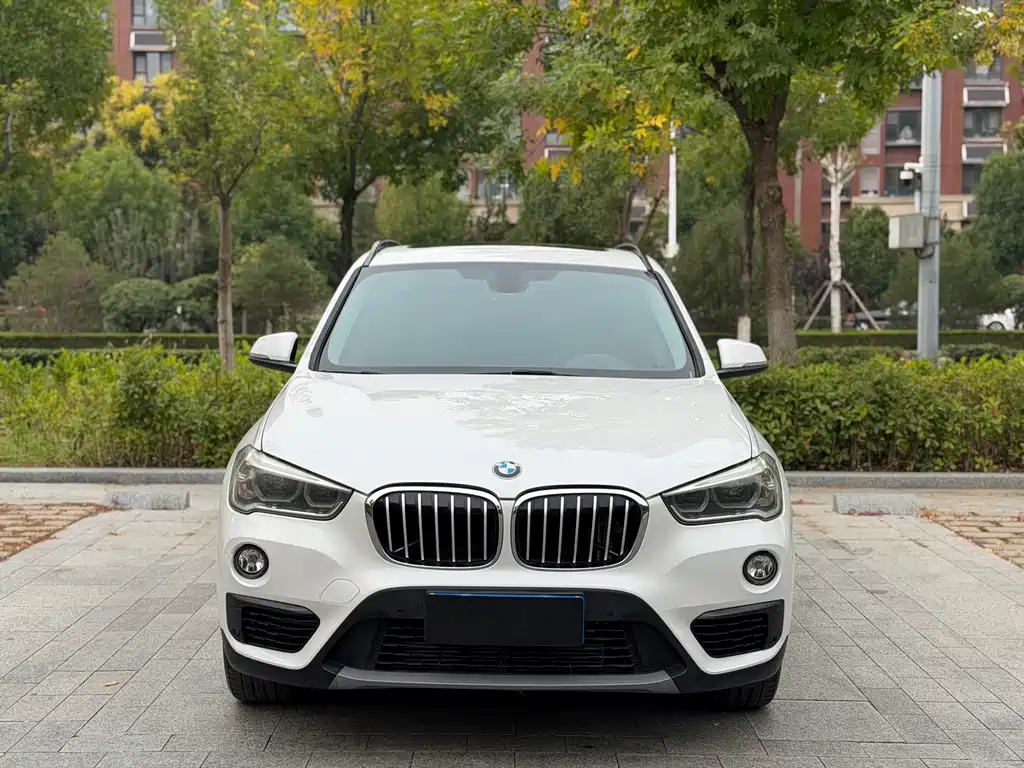 BMW X1 — миниатюра 2