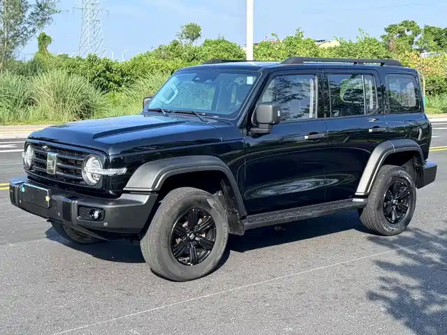 Tank 300