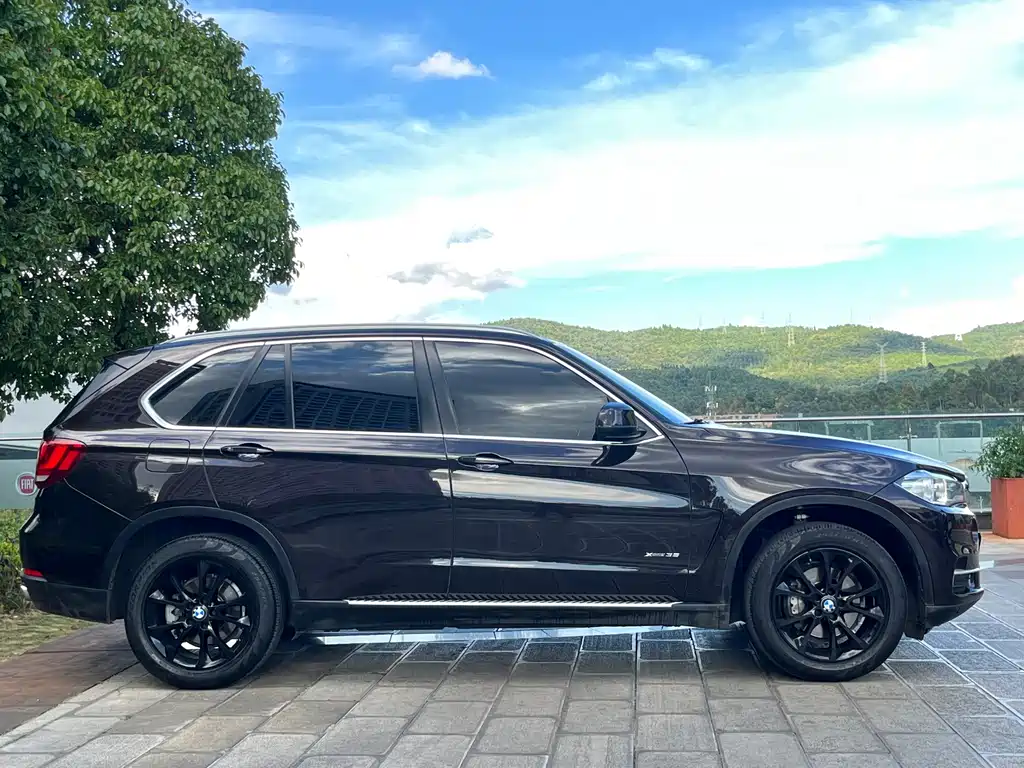 BMW X5 (Import) — миниатюра 31