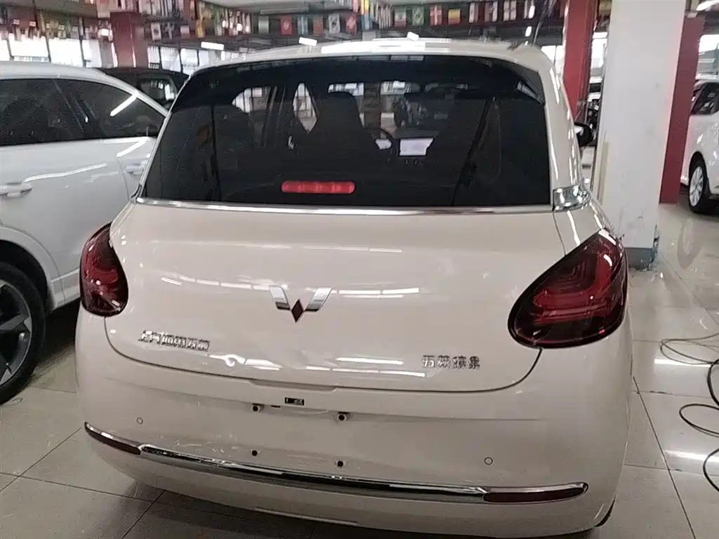 Wuling Binguo 2025 333km