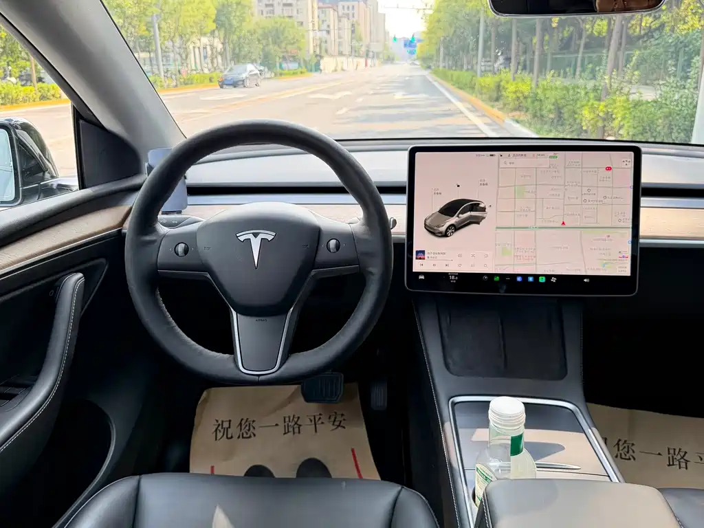 Tesla Model Y — миниатюра 7