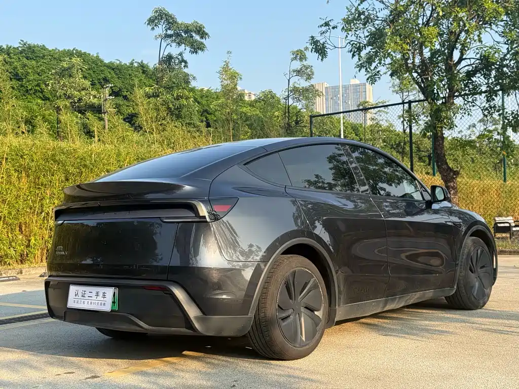 Tesla Model Y — миниатюра 11