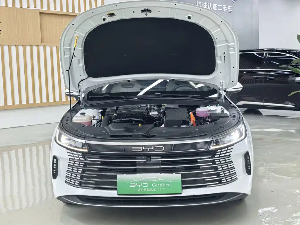 BYD Destroyer 05 — миниатюра 21