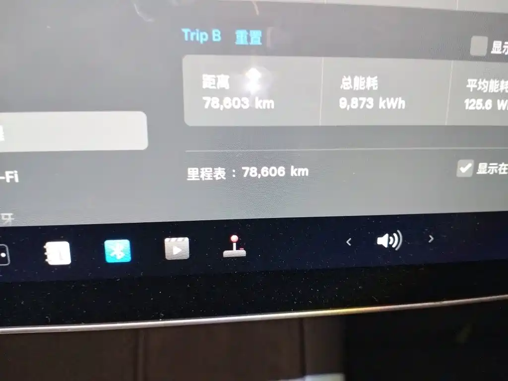 Tesla Model 3 — миниатюра 13