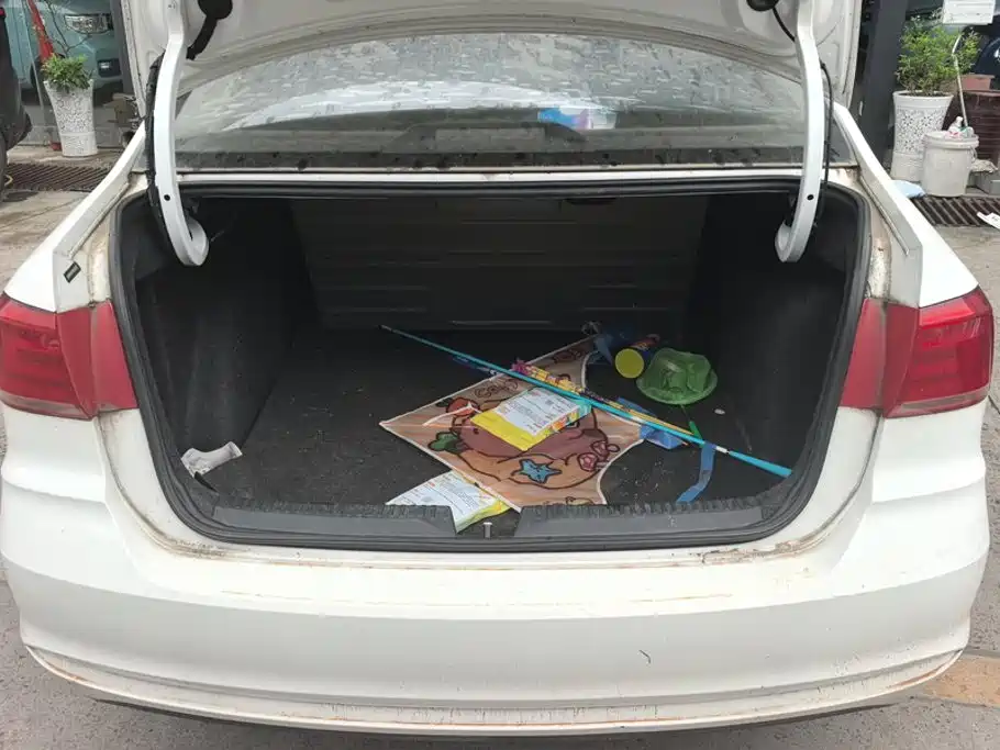 Volkswagen Santana — миниатюра 4