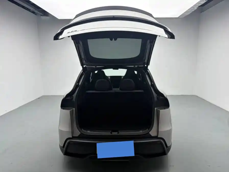 Tesla Model Y L — миниатюра 10