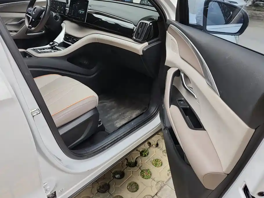 BYD Pro New Energy — миниатюра 8