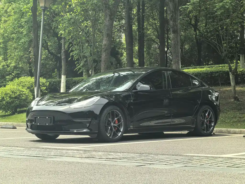 Tesla Model 3 2022 Performance High Performance AWD Edition